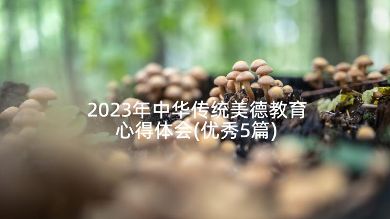 2023年中华传统美德教育心得体会(优秀5篇)