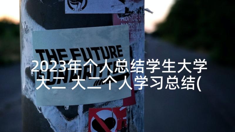 2023年个人总结学生大学大二 大二个人学习总结(汇总7篇)