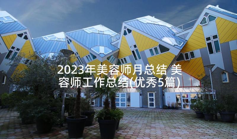 2023年美容师月总结 美容师工作总结(优秀5篇)