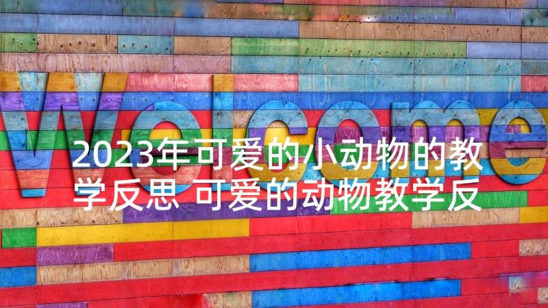 2023年可爱的小动物的教学反思 可爱的动物教学反思(优质5篇)