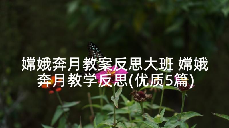 嫦娥奔月教案反思大班 嫦娥奔月教学反思(优质5篇)