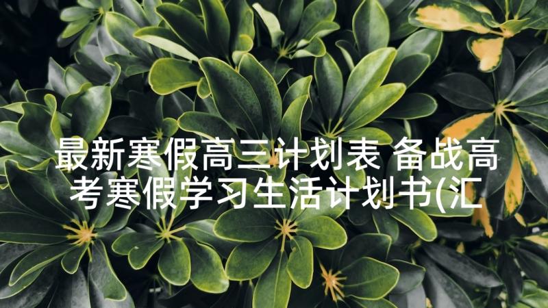 最新寒假高三计划表 备战高考寒假学习生活计划书(汇总5篇)