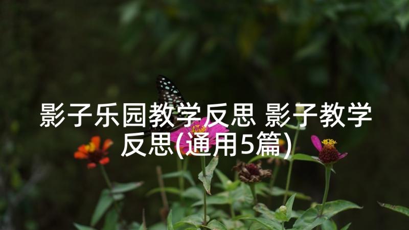 影子乐园教学反思 影子教学反思(通用5篇)