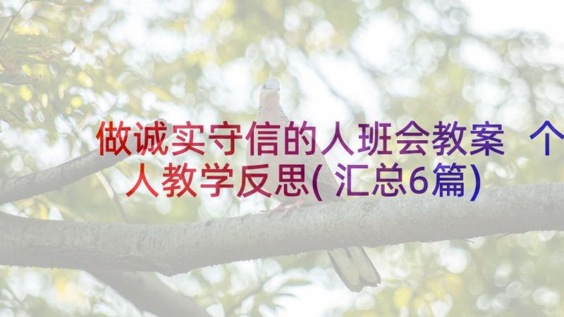 做诚实守信的人班会教案 个人教学反思(汇总6篇)