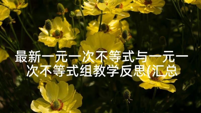 最新一元一次不等式与一元一次不等式组教学反思(汇总5篇)