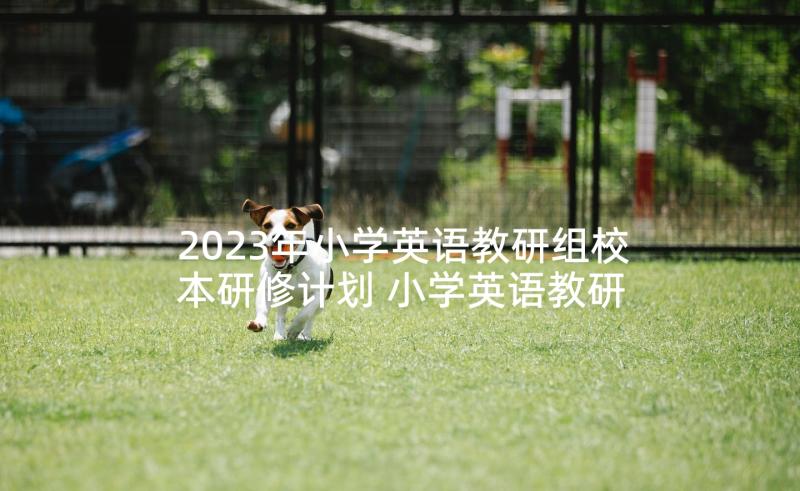 2023年小学英语教研组校本研修计划 小学英语教研组教研活动计划第一学期(汇总5篇)