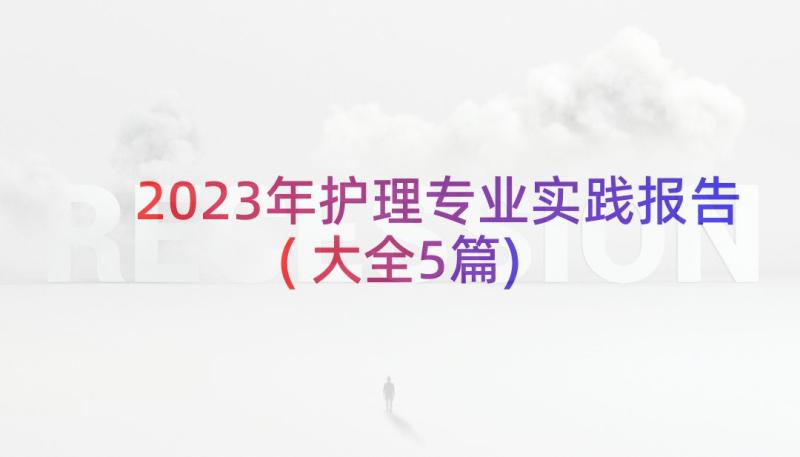 2023年护理专业实践报告(大全5篇)