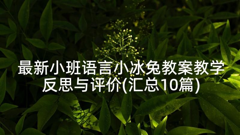 最新小班语言小冰兔教案教学反思与评价(汇总10篇)