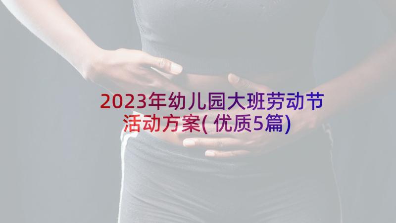 2023年幼儿园大班劳动节活动方案(优质5篇)