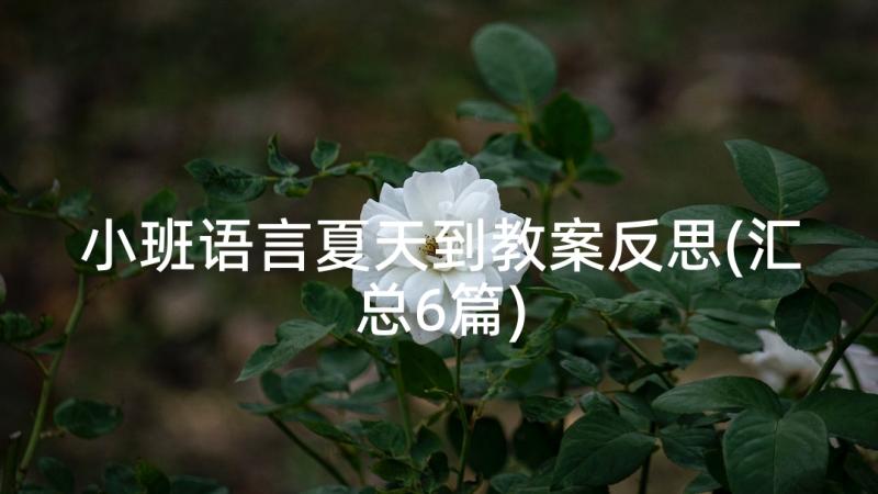 小班语言夏天到教案反思(汇总6篇)