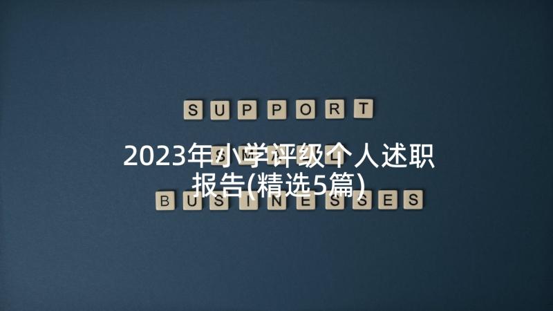 2023年小学评级个人述职报告(精选5篇)