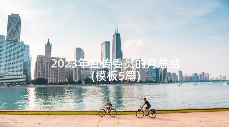 2023年宣传委员的月总结(模板5篇)