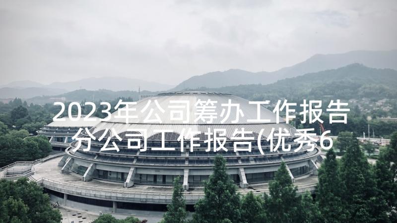 2023年公司筹办工作报告 分公司工作报告(优秀6篇)