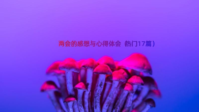 两会的感想与心得体会（热门17篇）