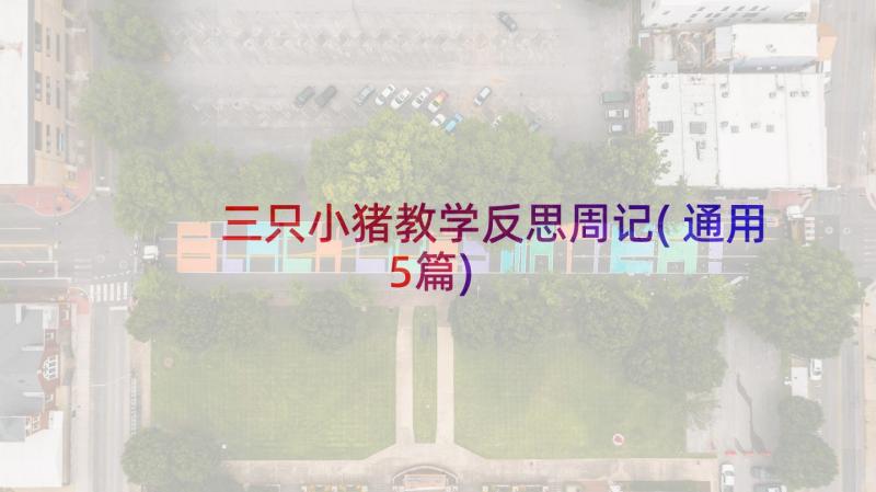 三只小猪教学反思周记(通用5篇)