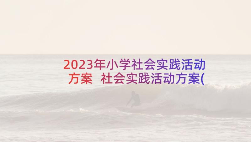 2023年小学社会实践活动方案 社会实践活动方案(通用6篇)