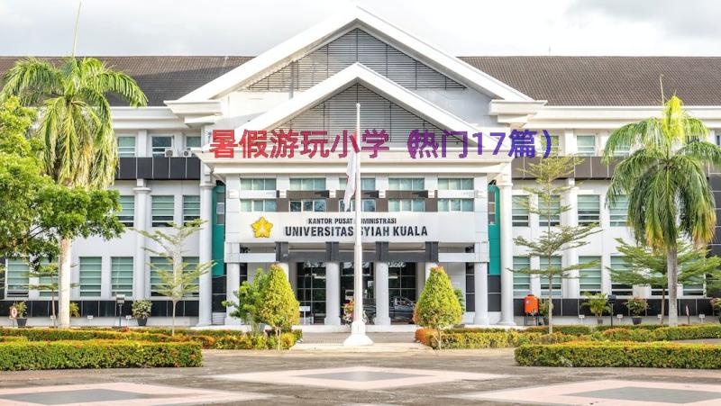 暑假游玩小学（热门17篇）