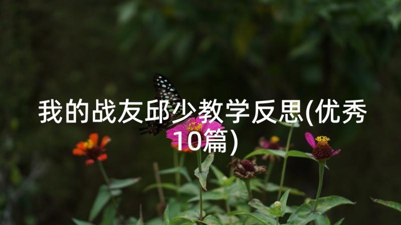 我的战友邱少教学反思(优秀10篇)