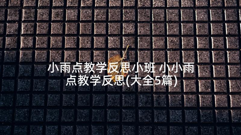 小雨点教学反思小班 小小雨点教学反思(大全5篇)