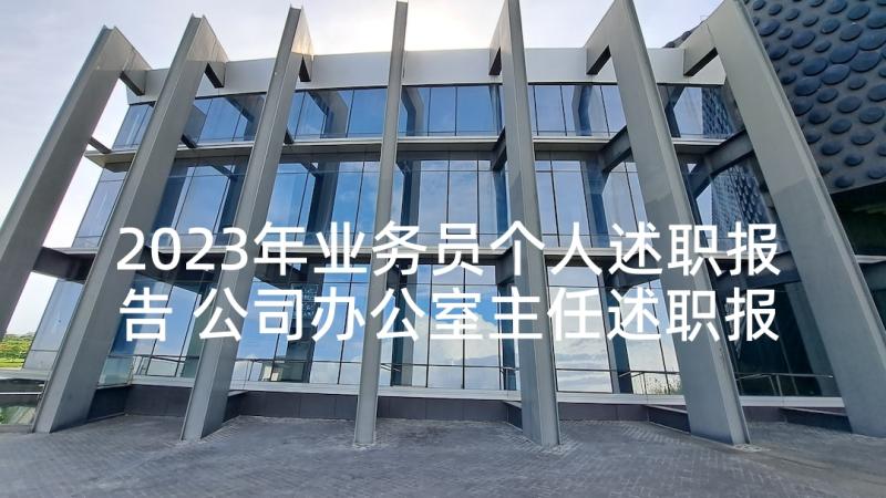 2023年业务员个人述职报告 公司办公室主任述职报告(精选8篇)