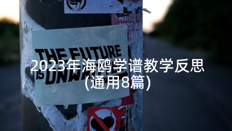 2023年海鸥学谱教学反思(通用8篇)