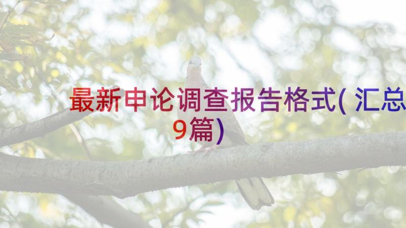 最新申论调查报告格式(汇总9篇)