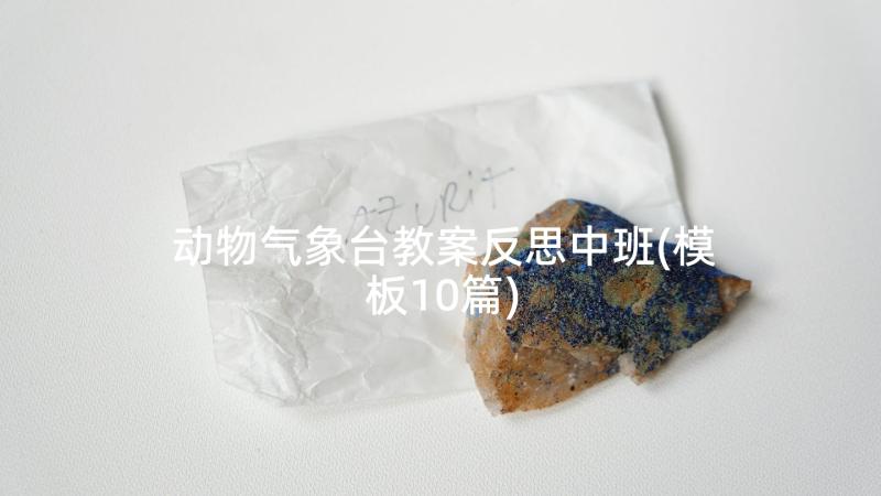 动物气象台教案反思中班(模板10篇)