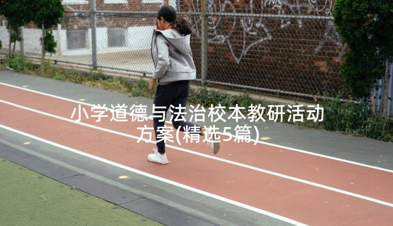 小学道德与法治校本教研活动方案(精选5篇)