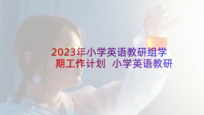 2023年小学英语教研组学期工作计划 小学英语教研组上学期教学计划汇集(大全5篇)