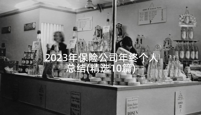 2023年保险公司年终个人总结(精选10篇)