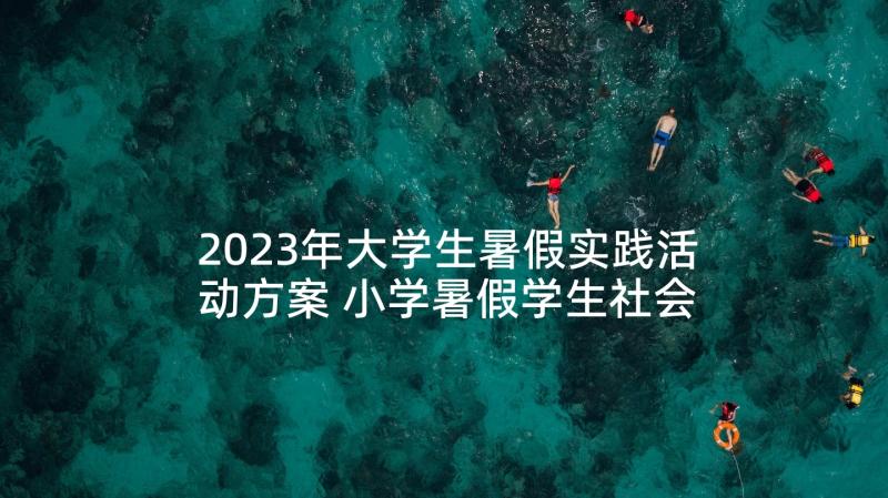 2023年大学生暑假实践活动方案 小学暑假学生社会实践活动方案(优秀7篇)