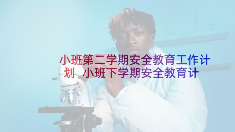 小班第二学期安全教育工作计划 小班下学期安全教育计划(汇总5篇)