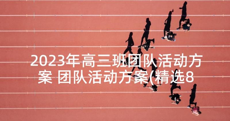 2023年高三班团队活动方案 团队活动方案(精选8篇)