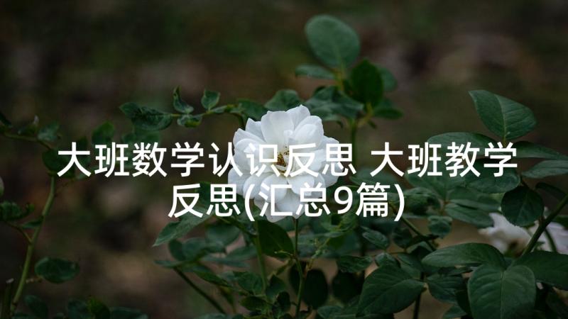 大班数学认识反思 大班教学反思(汇总9篇)