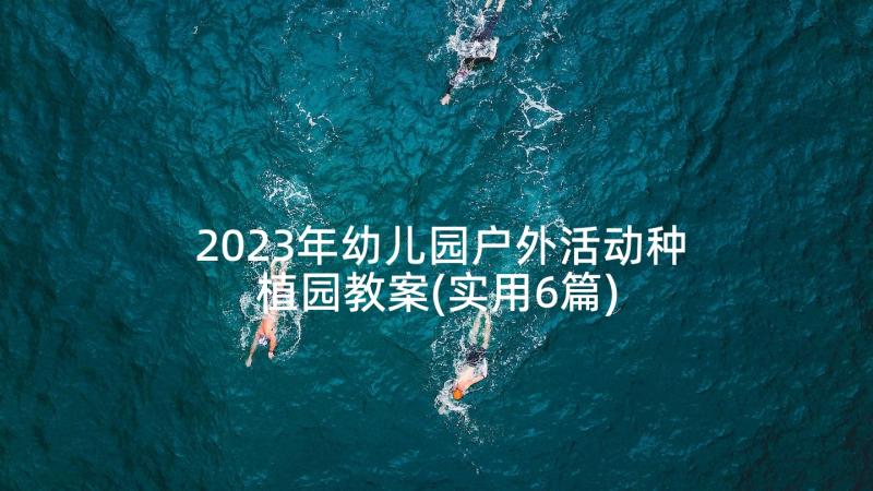 2023年幼儿园户外活动种植园教案(实用6篇)