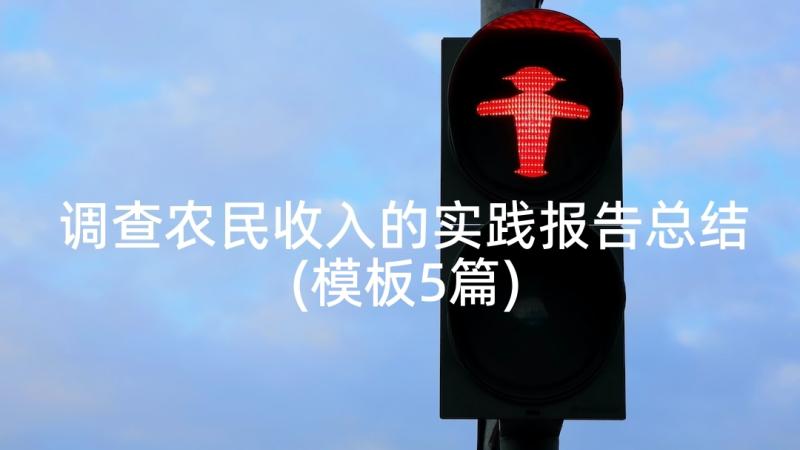 调查农民收入的实践报告总结(模板5篇)