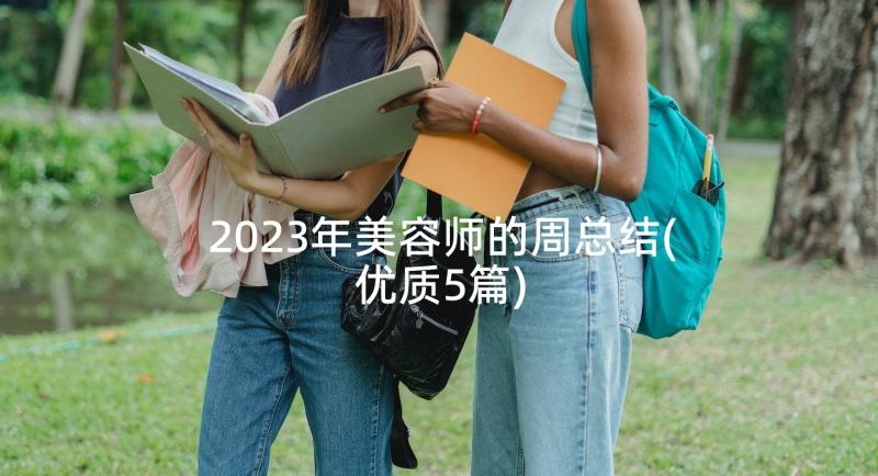 2023年美容师的周总结(优质5篇)