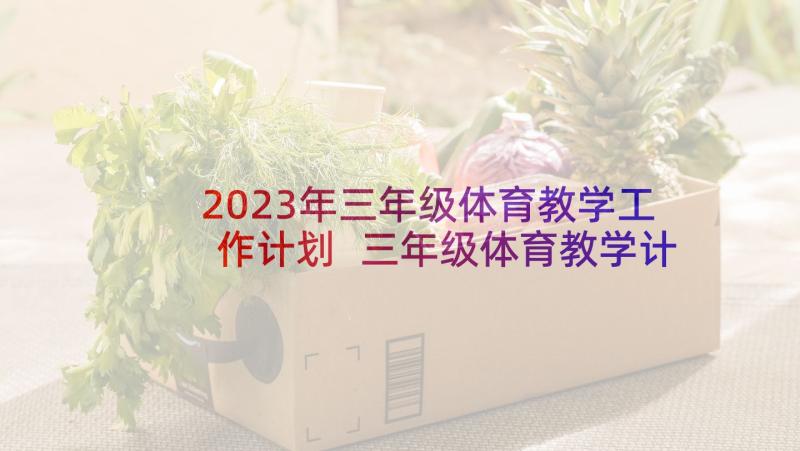 2023年三年级体育教学工作计划 三年级体育教学计划(实用5篇)