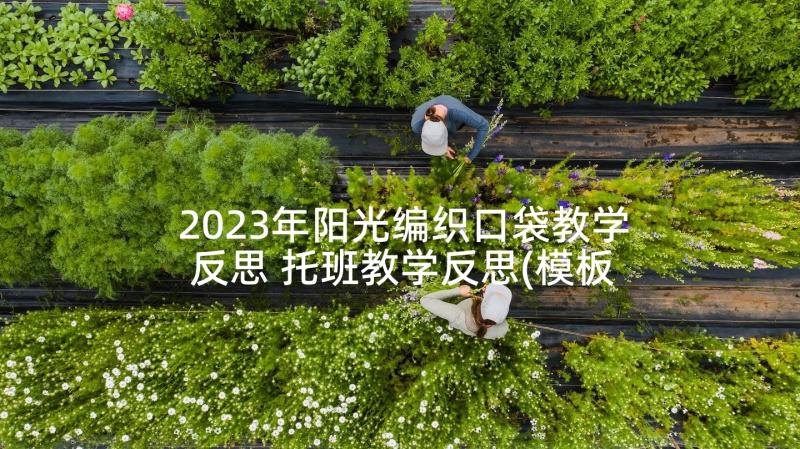 2023年阳光编织口袋教学反思 托班教学反思(模板5篇)