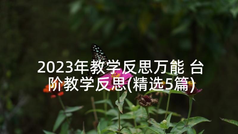 2023年教学反思万能 台阶教学反思(精选5篇)