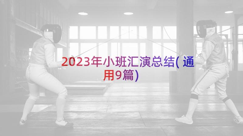 2023年小班汇演总结(通用9篇)