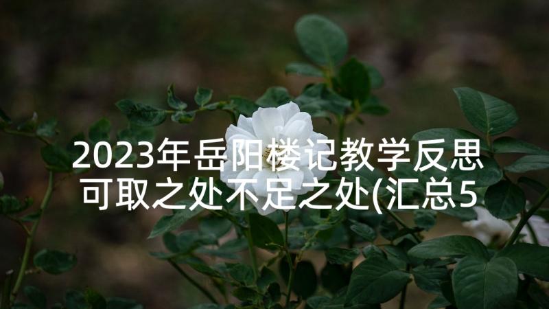 2023年岳阳楼记教学反思可取之处不足之处(汇总5篇)