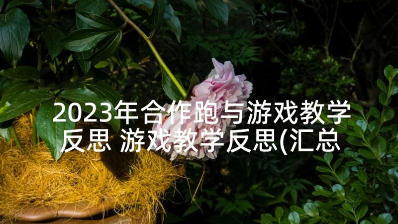 2023年合作跑与游戏教学反思 游戏教学反思(汇总10篇)