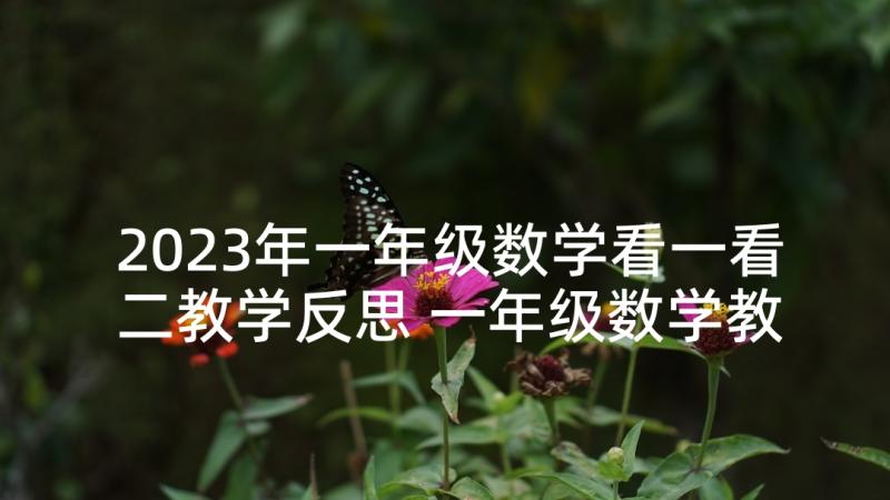 2023年一年级数学看一看二教学反思 一年级数学教学反思(优质9篇)