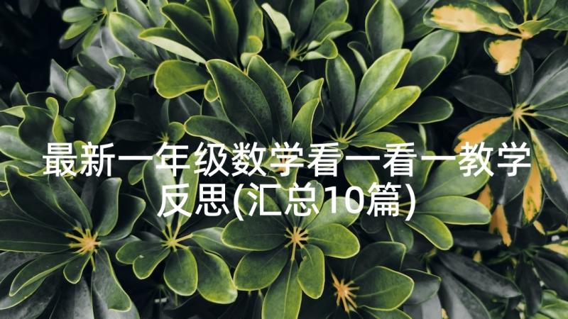 最新一年级数学看一看一教学反思(汇总10篇)