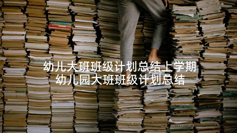 幼儿大班班级计划总结上学期 幼儿园大班班级计划总结(模板9篇)