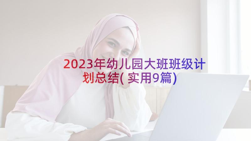 2023年幼儿园大班班级计划总结(实用9篇)