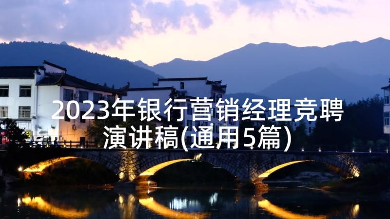 2023年银行营销经理竞聘演讲稿(通用5篇)