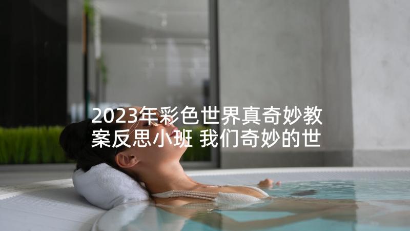 2023年彩色世界真奇妙教案反思小班 我们奇妙的世界教学反思(汇总7篇)