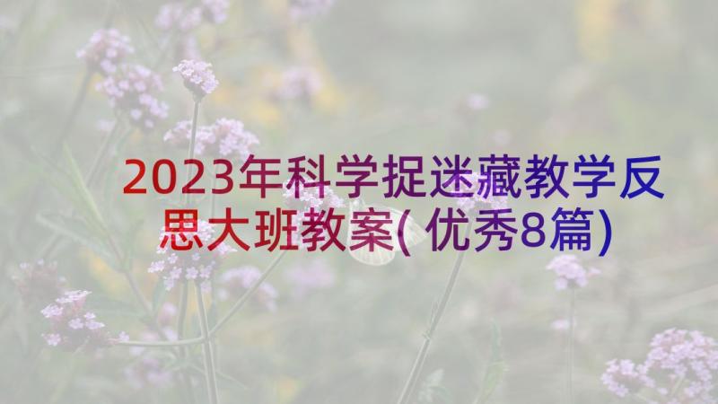 2023年科学捉迷藏教学反思大班教案(优秀8篇)